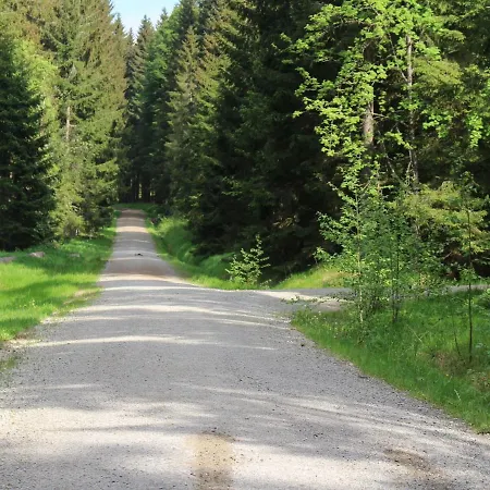 Cosy Wooden Holiday In The Bavarian Forest With Many Excursion Options *