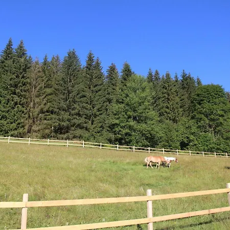 Cosy Wooden Holiday In The Bavarian Forest With Many Excursion Options *